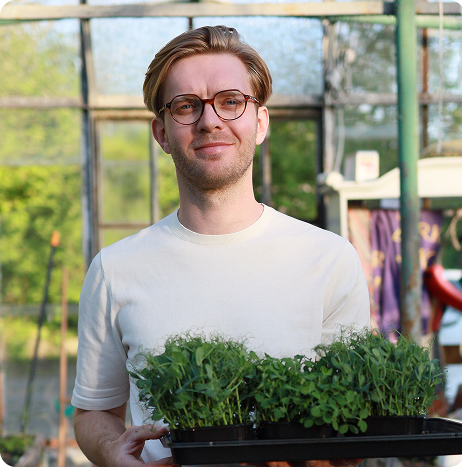 Mat con microgreens MP SEEDS
