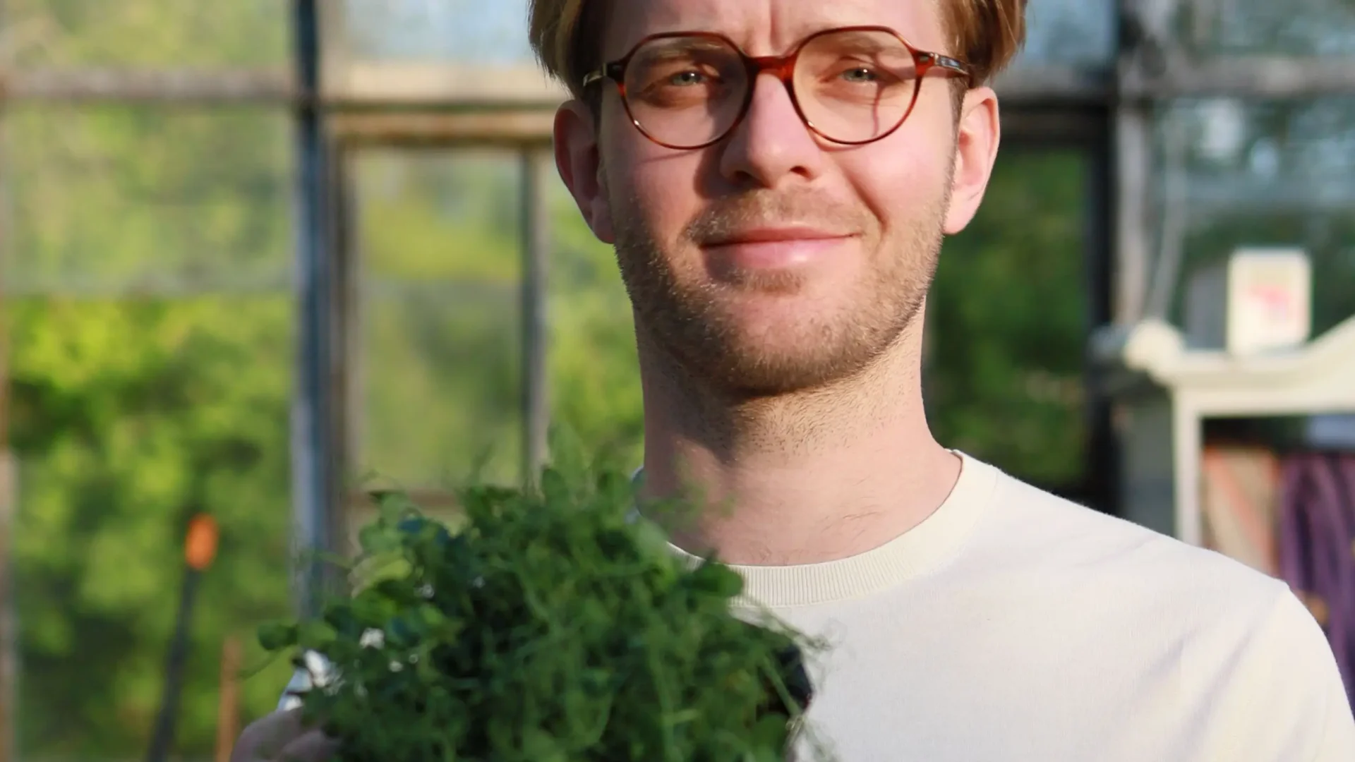 10 motivos para elegir MP SEEDS como tu mejor proveedor de semillas