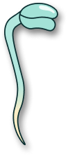 grupo4