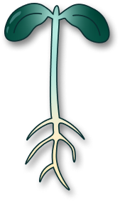 grupo5
