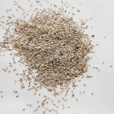 Semillas para microgreens de Milenrama Blanca para la cosecha