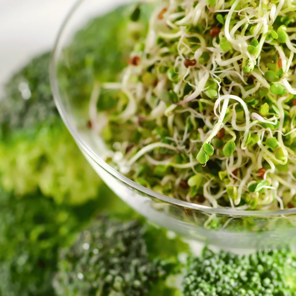 Brotes de brócoli