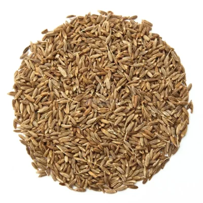 Semillas para microgreens de Alcaravea listas para la cosecha
