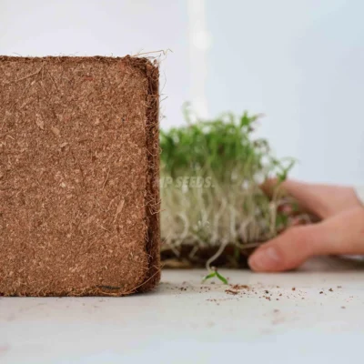 Sustrato de fibra de coco MP SEEDS
