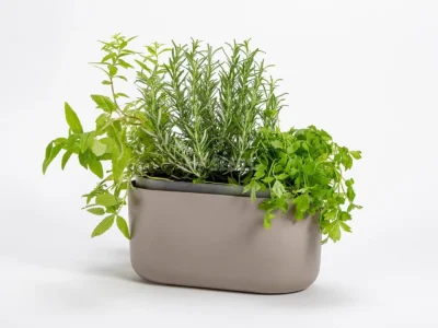 Maceta doble de autorriego para microgreens
