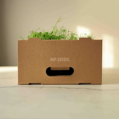 Caja de transporte grande para 12 macetas de microgreens