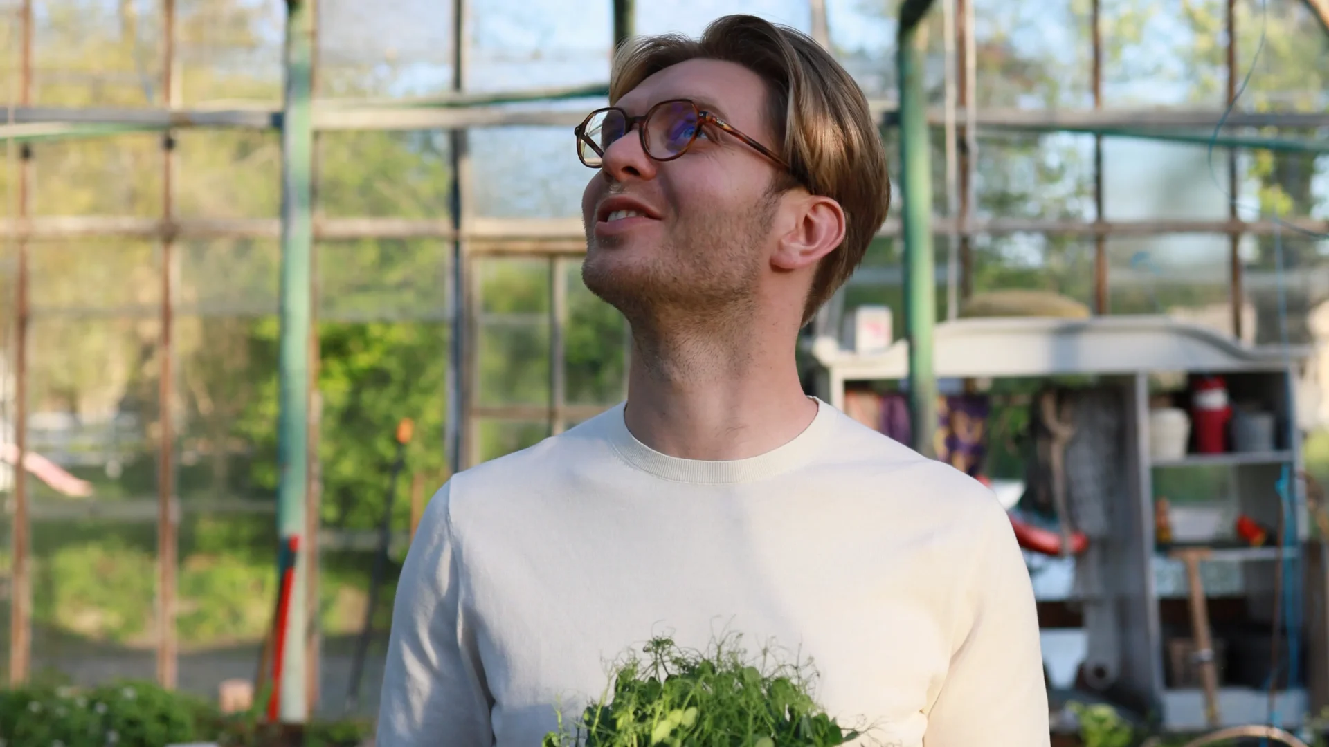 De una idea nacida en una fiesta a la expansión europea: la humilde historia de MP SEEDS