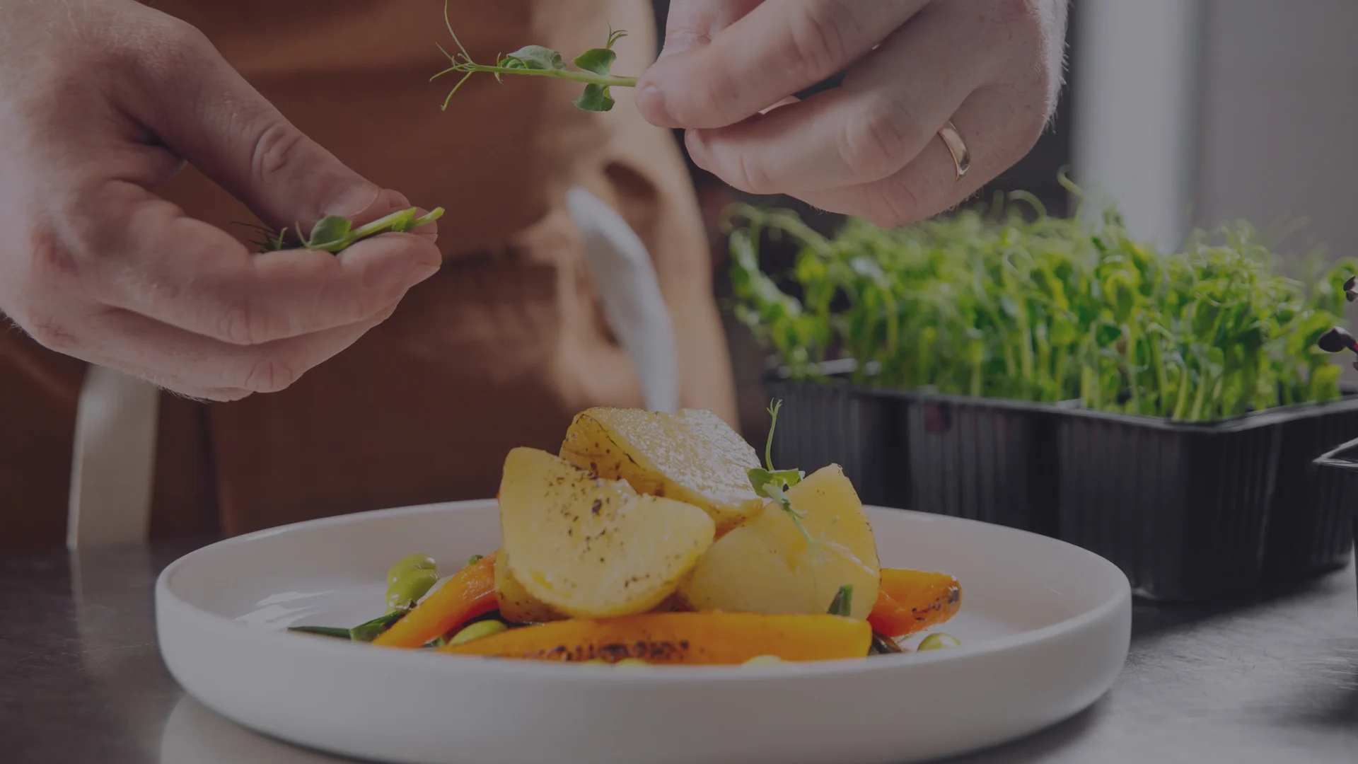 Una guía definitiva para preparar, cocinar y saborear los microgreens: los pequeños grandes tesoros de la naturaleza