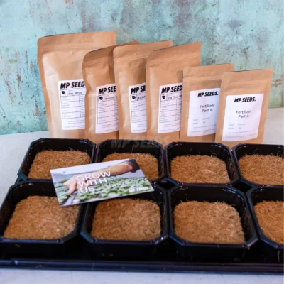 Kit de démarrage professionnel pour micro-pousses