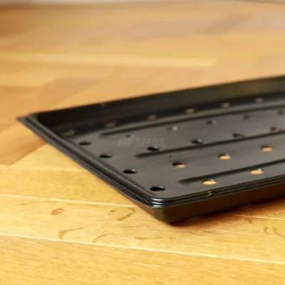 Shallow growing tray for microgreens cultivation with holes.