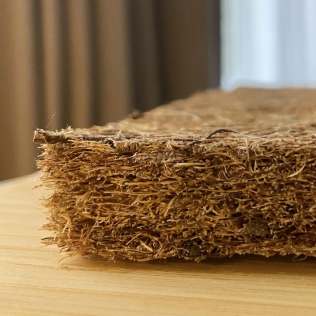 Almohadillas de coco para el cultivo de microgreens, que proporcionan un medio de cultivo limpio y bien aireado para una germinación saludable.