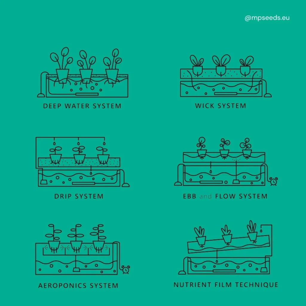 Ilustración de seis sistemas hidropónicos: cultivo en agua profunda, sistema de mecha, sistema de goteo, flujo y reflujo, aeroponía y técnica de película de nutrientes.