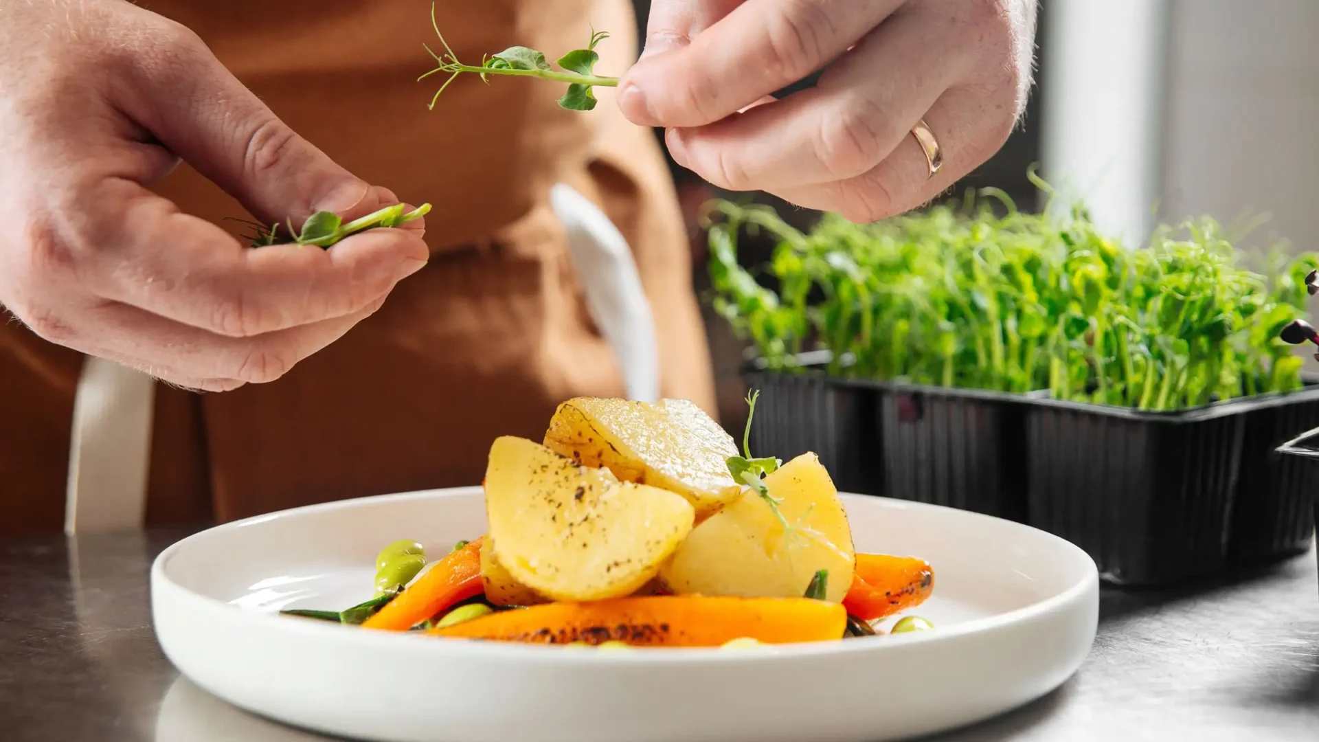 Microgreens para restaurantes: beneficios culinarios y las 5 variedades más populares entre los chefs