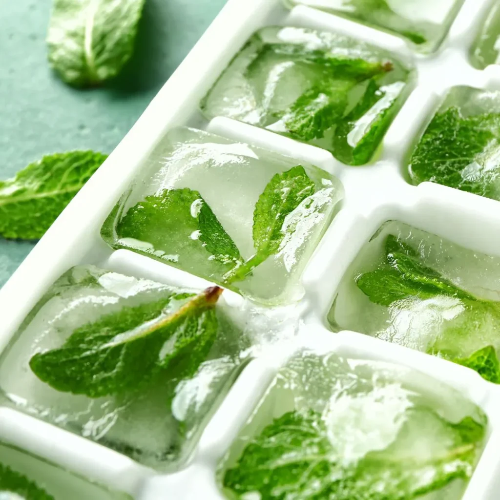Cubitos de hielo con hierbas.