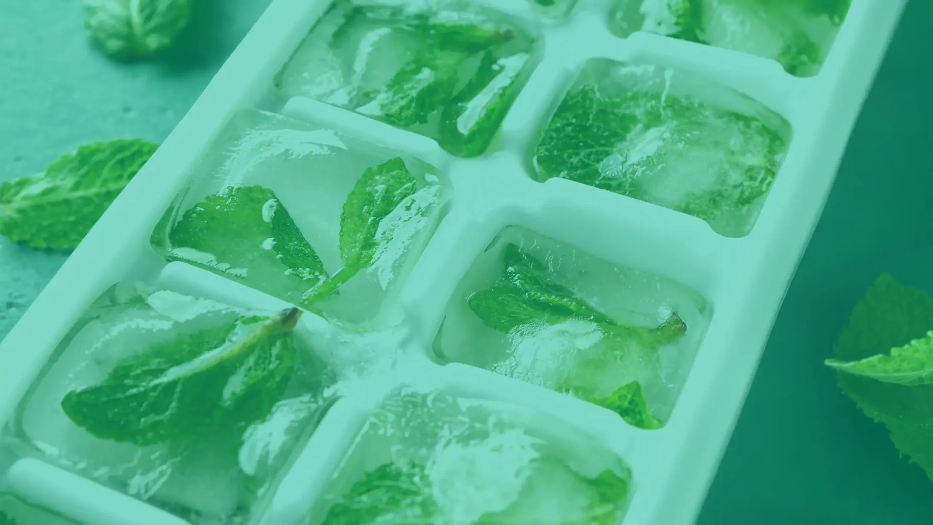 Receta de cubitos de hielo con microhierbas
